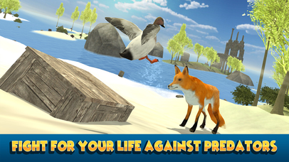 Flying Duck Simulator: Wild Bird Life 3D screenshot 2
