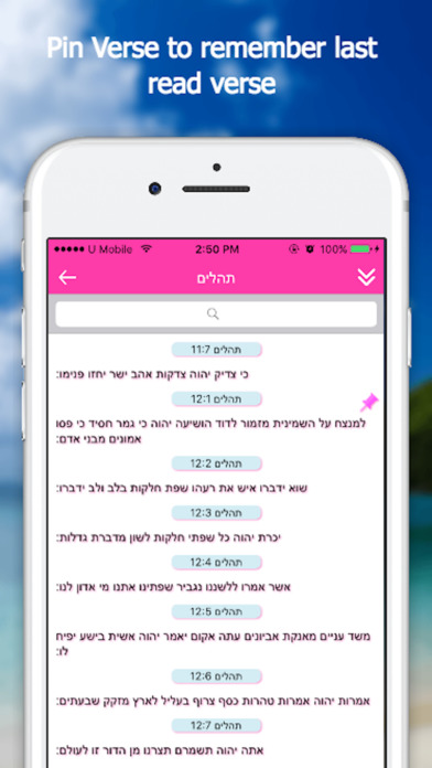 Bible App - Hebrew screenshot 4