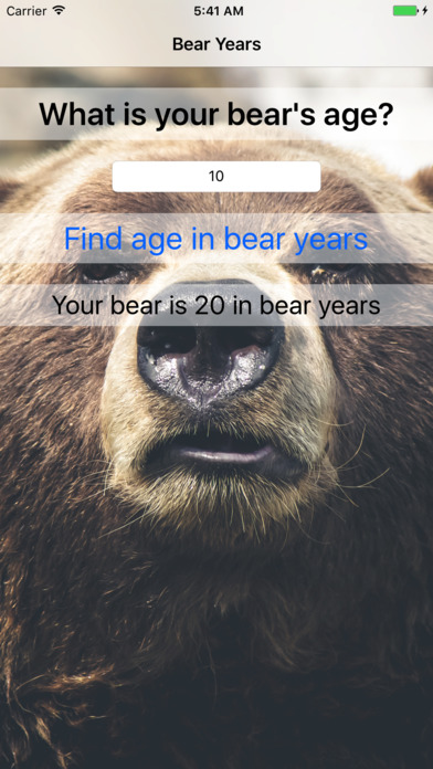 Bear Years - Fun For Kids! screenshot 3