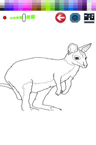 Coloring Page and Paint Wallaby For Toodle screenshot 2