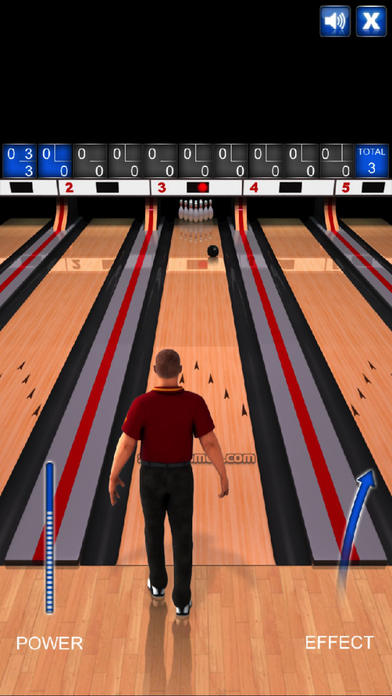 Pin Bowling - Pro screenshot 3