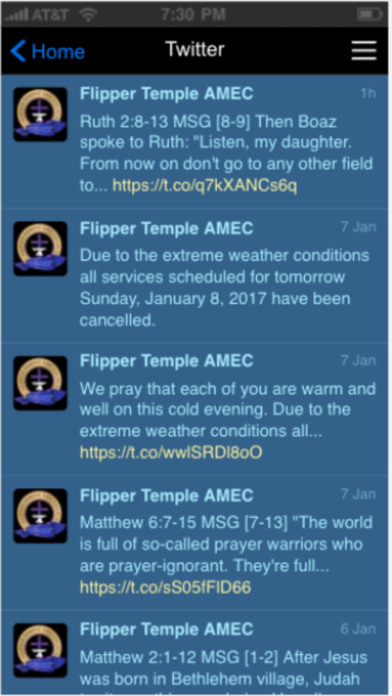 Flipper Temple screenshot 3