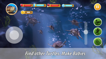 Turtle Family Simulator screenshot 2