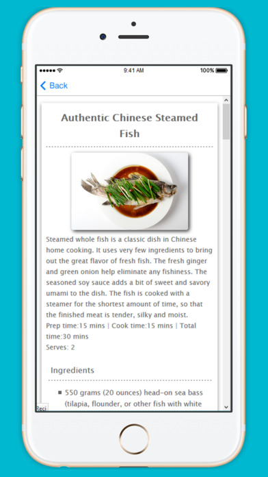 Chinese New Year Food Recipes screenshot 3