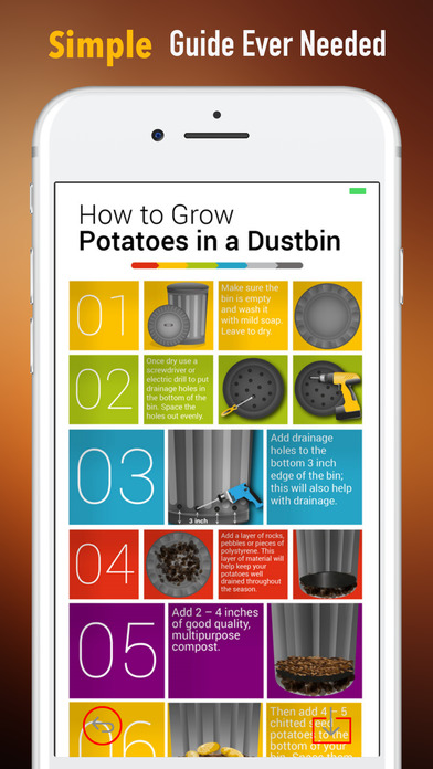 How to Grow Organic Potatoes in Backyard Garden screenshot 2