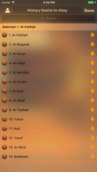 Quran Recitation screenshot 2