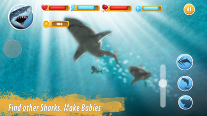 Shark Family Simulator screenshot 2