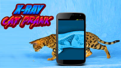X-Ray Cat Prank screenshot 3