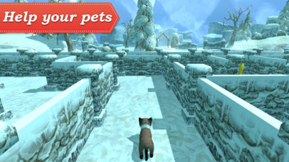 3D Pets in the Maze screenshot 4