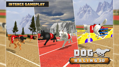 Dog Racing  3D screenshot 4