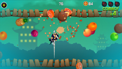 Fruit Cut Game - Angry Ninja screenshot 4