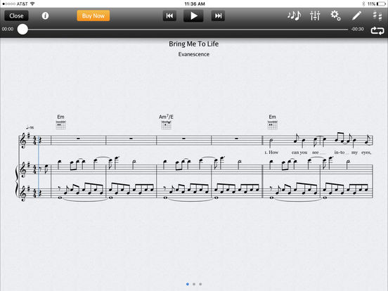 iPad Screenshot 4