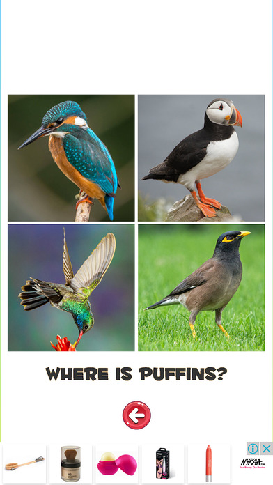 Learn the Birds Phonetic screenshot 3