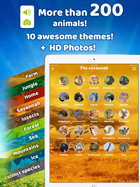 iPad Screenshot 1