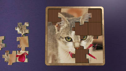 Super Jigsaws Kittens screenshot 4