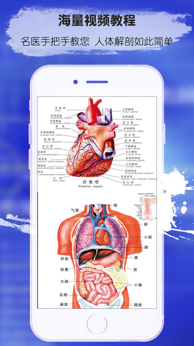 人体解剖生理学 - 医学名师讲三维解剖学图谱 screenshot 2