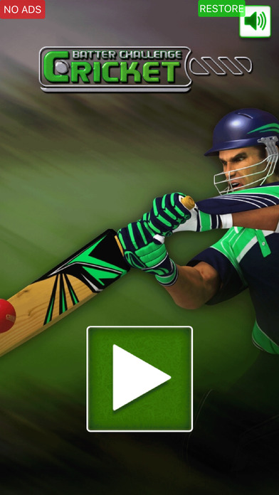 Cricket Batter challenge Pro screenshot 2