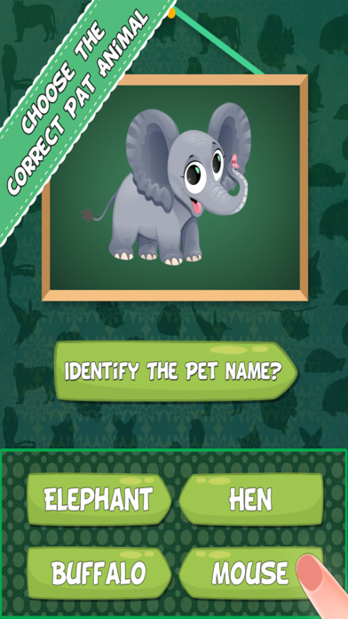 Pet Animal Quiz Kids Games screenshot 3