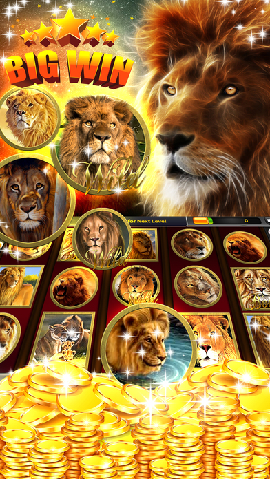 Wild lion Slots – Be the king of jungle casino screenshot 3