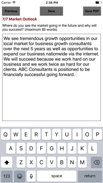 Marketing Plan Snapshot screenshot 3