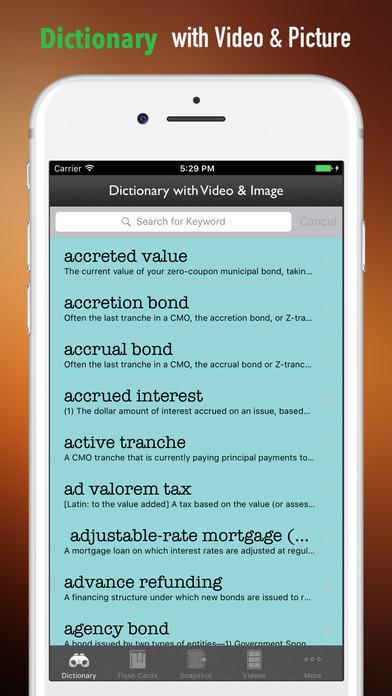 Bonds Glossary-Study Guide and Terminology screenshot 4