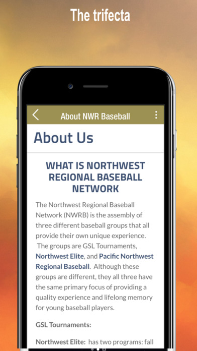 NWR Baseball screenshot 4