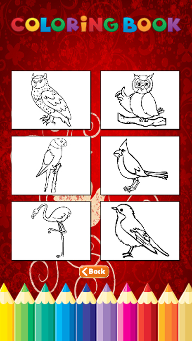 Bird Coloring Book - Activities for Kid screenshot 3