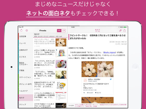 iPad Screenshot 4