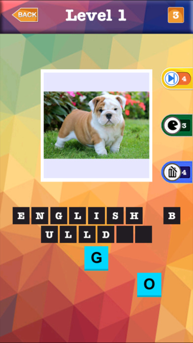 Dog Breed Quiz - Guessing Trivia For Animal Lover screenshot 2