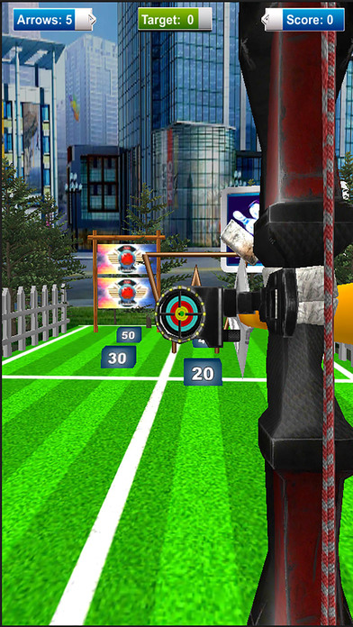 Robin Archery Master : 3D Amateur Shooting Game-s screenshot 2