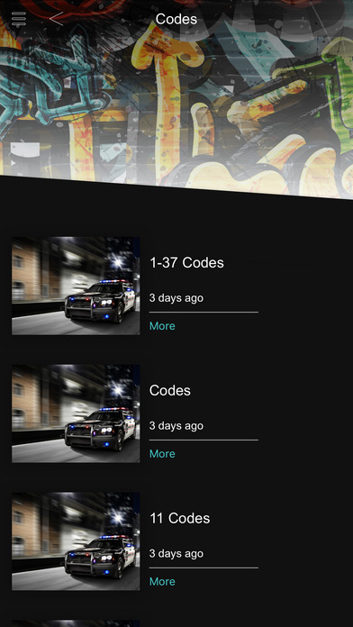 Police Codes App screenshot 3