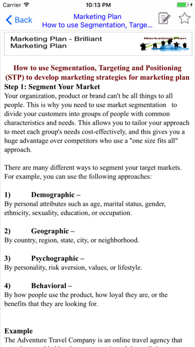 Brilliant Marketing Plan - screenshot 4