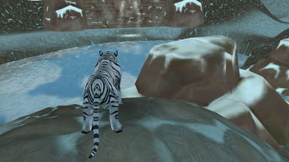 Ultimate Revenge of Furious Wild Cats 3D screenshot 3