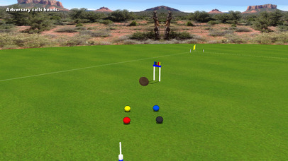 Croquet Pro 2 screenshot 4