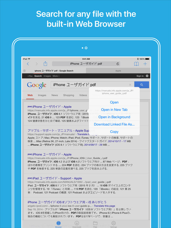 iPad Screenshot 2