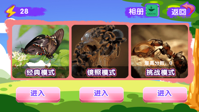 昆虫找不同 screenshot 3