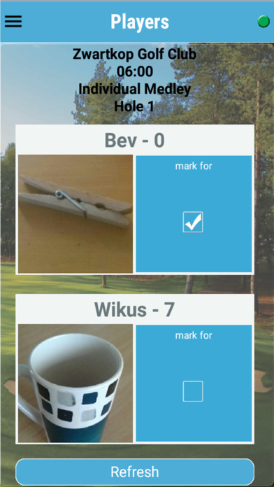 Ampro Golf screenshot 3