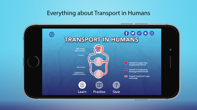 Transport in Humans- Biology screenshot 2