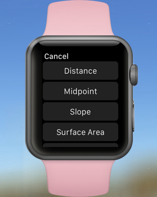 iPhone Screenshot 2