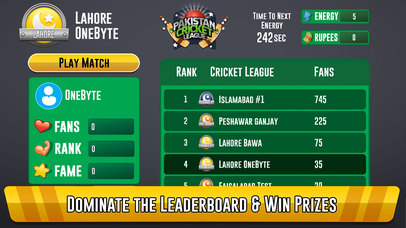 Pakistan Cricket League screenshot 3