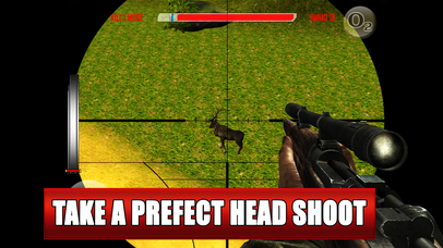 Deer Hunting Game 2016 : Sniper Kill Pro screenshot 2