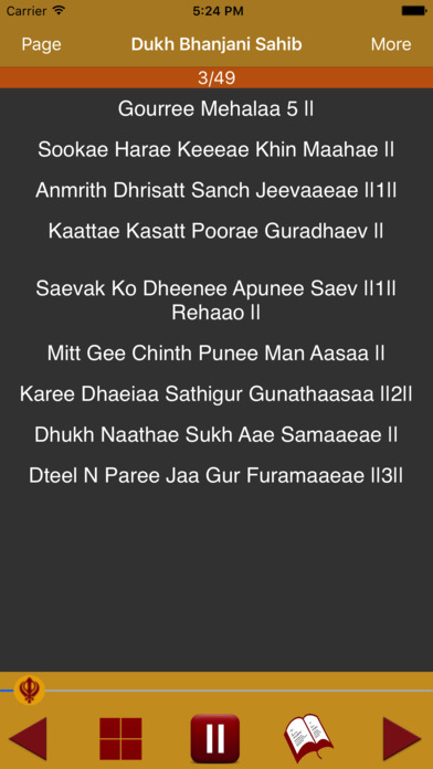 Dukh Bhanjani Sahib Audio screenshot 3