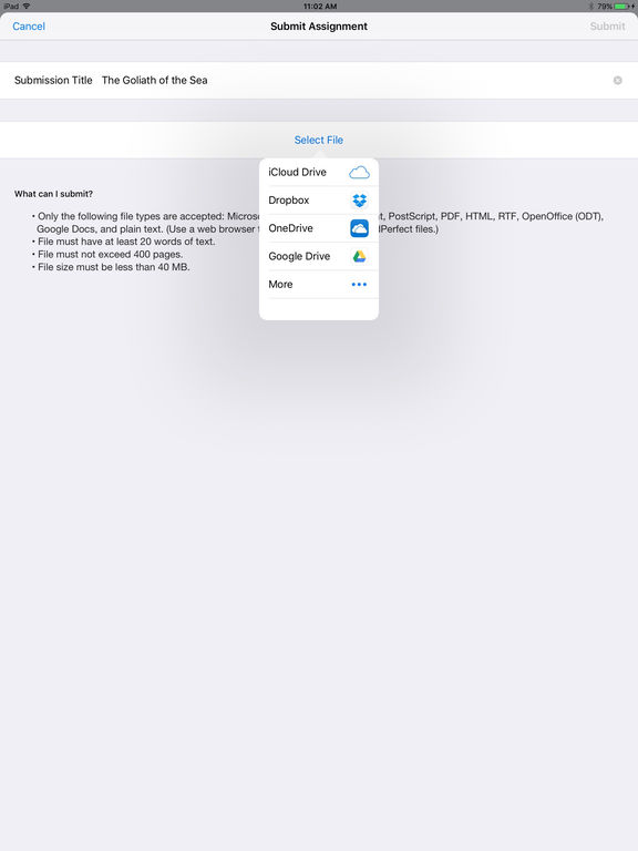 iPad Screenshot 2