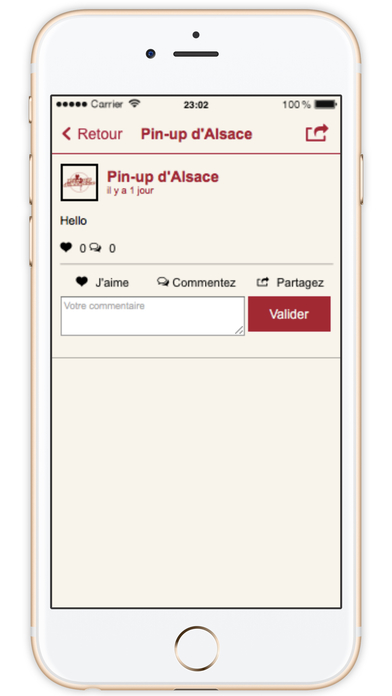 Pin-up d'Alsace screenshot 4