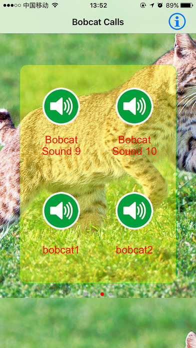Bobcat Real Hunting Calls & Sounds screenshot 2