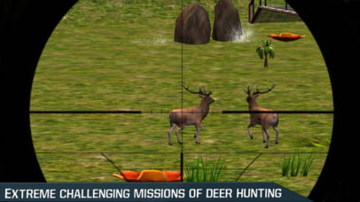 Animal Hunting Adventure screenshot 2
