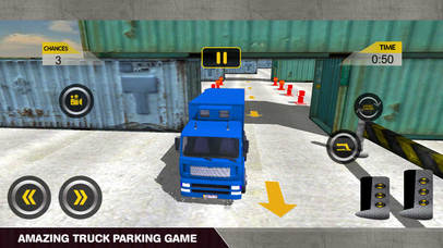 Truck Quixotic Parking: Integrity Driver Simulator screenshot 4