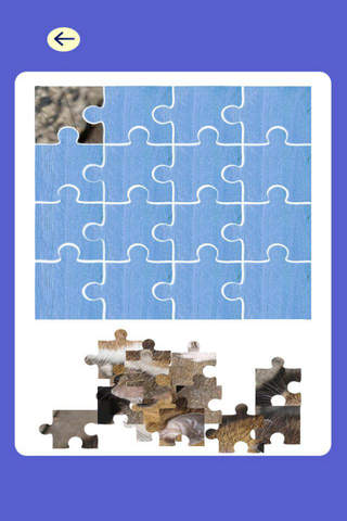 Tom and Mouse Animal Puzzle For Kids screenshot 2