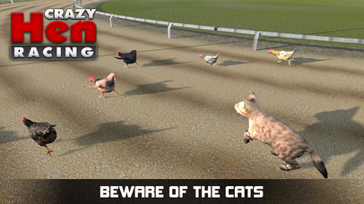 Hen Racing Simulator - Race Free Range Chickens screenshot 2