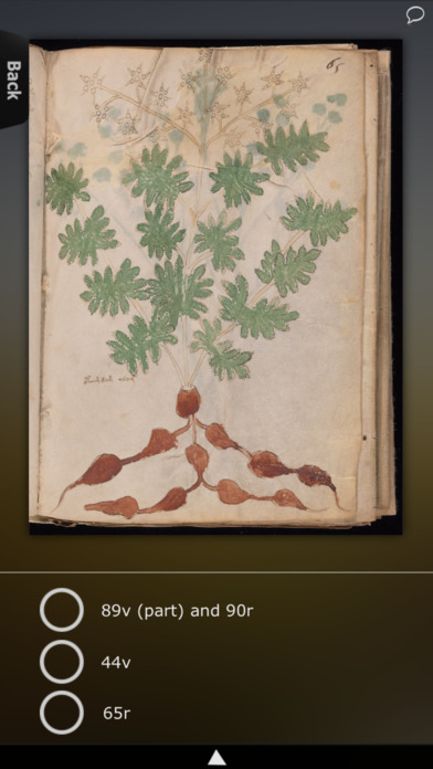 Full Voynich Manuscript screenshot 4